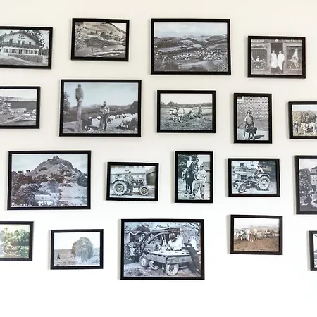 Haus Martina Im Herzen Der Rhön - 3 Einzelbuchbare Moderne Für 2-8 Personen, Terrasse, Balkon, Garten, Und E-bike Keller, Lounge, Freies Wlan, Familienfreundlich Apartment *