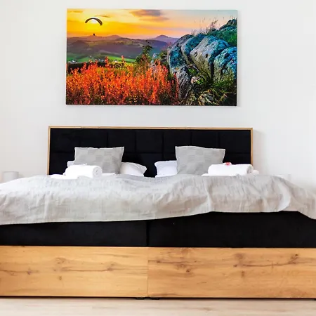 Apartment Haus Martina Im Herzen Der Rhön - 3 Einzelbuchbare Moderne Für 2-8 Personen, Terrasse, Balkon, Garten, Und E-bike Keller, Lounge, Freies Wlan, Familienfreundlich *