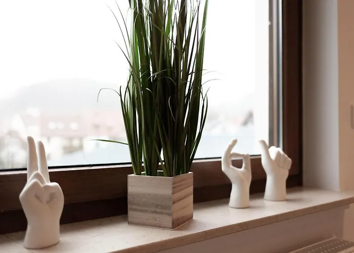 Haus Martina Im Herzen Der Rhoen - 3 Einzelbuchbare Moderne Fuer 2-8 Personen, Terrasse, Balkon, Garten, Und E-bike Keller, Lounge, Freies Wlan, Familienfreundlich * Poppenhausen