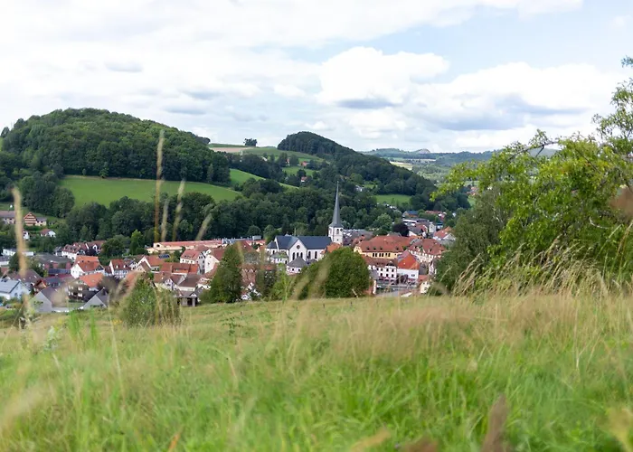 Haus Martina Im Herzen Der Rhoen - 3 Einzelbuchbare Moderne Fuer 2-8 Personen, Terrasse, Balkon, Garten, Und E-bike Keller, Lounge, Freies Wlan, Familienfreundlich Διαμέρισμα Poppenhausen